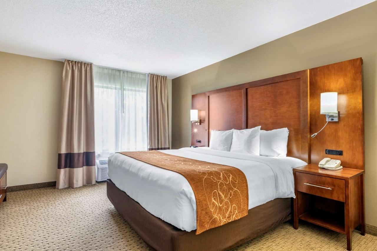 Comfort Grand Rapids North Hotel